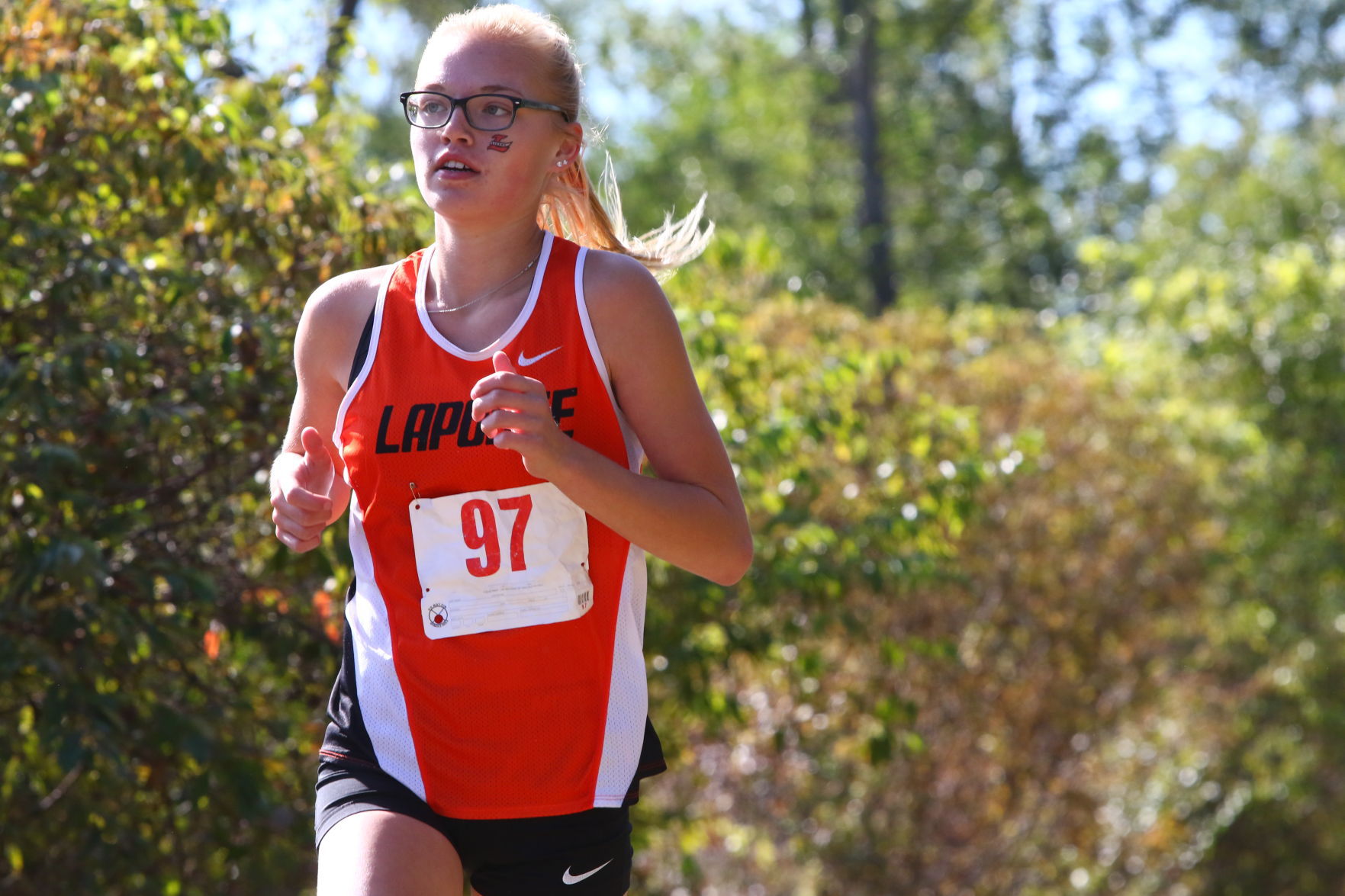Gallery: Duneland Athletic Conference cross country meet
